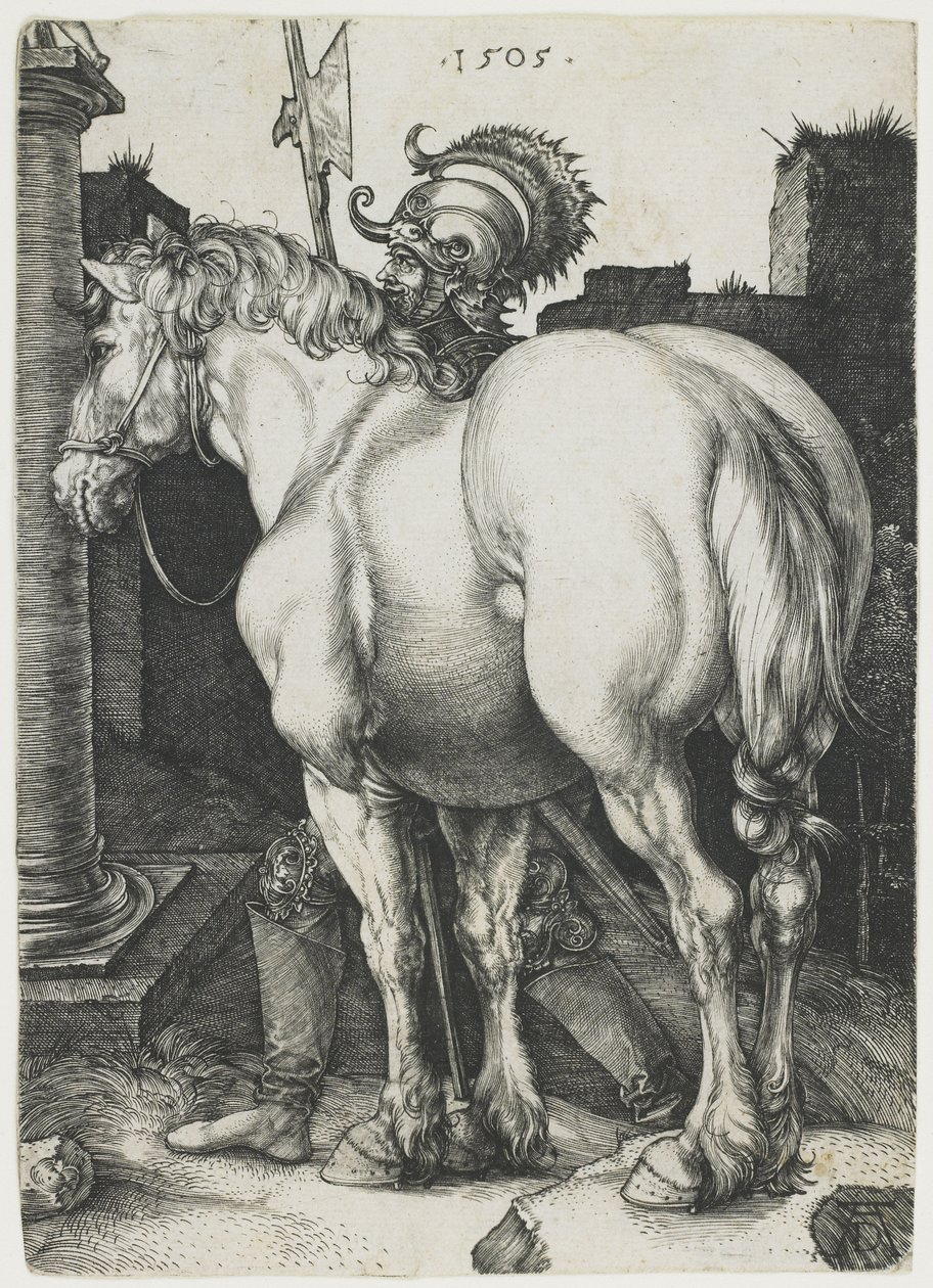Den store hesten av Albrecht Dürer