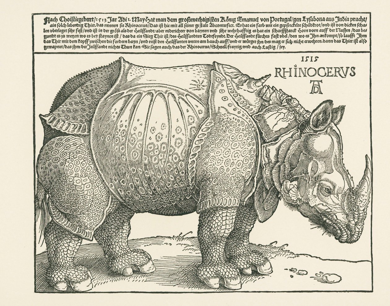  av Albrecht Dürer or Duerer