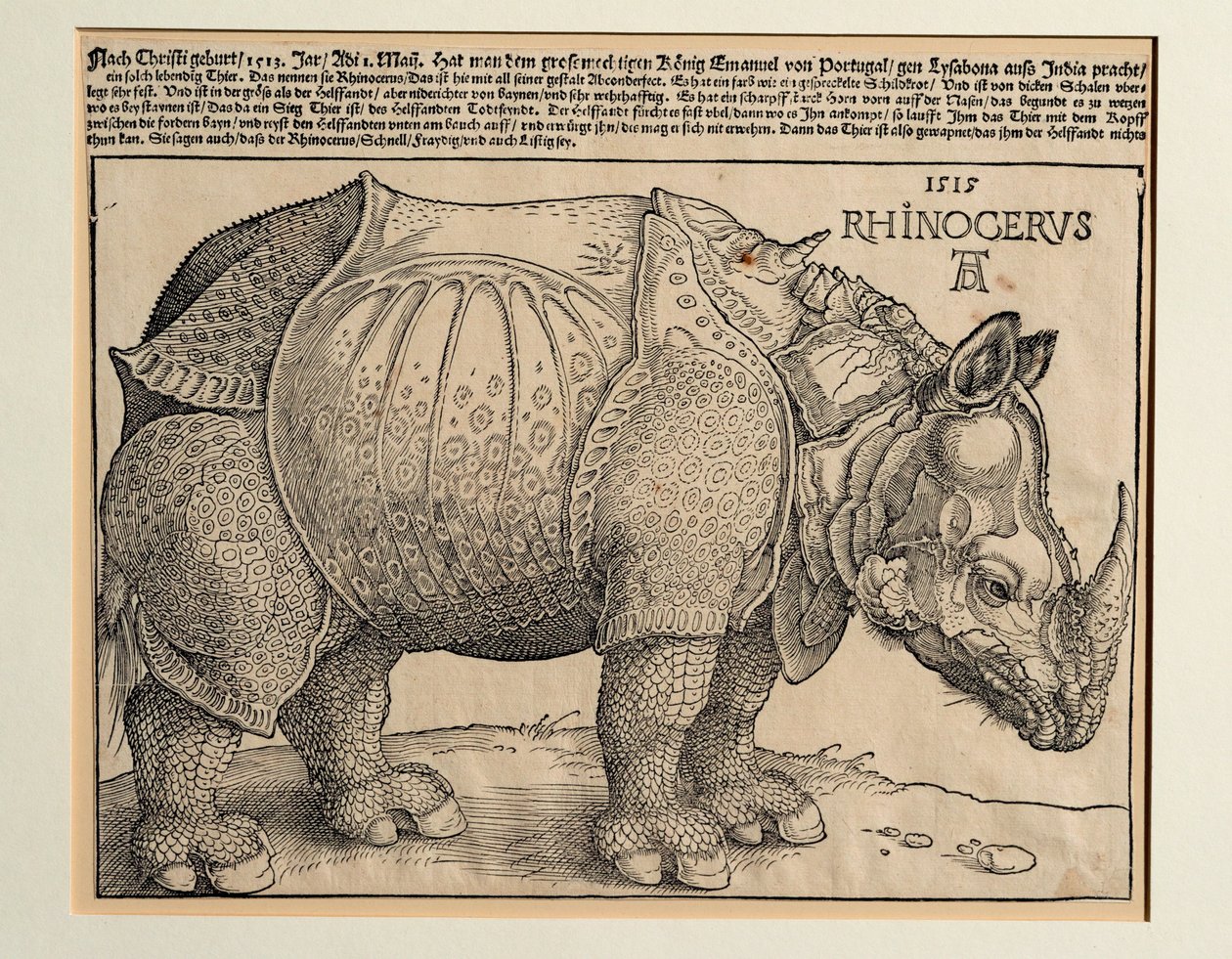  av Albrecht Dürer or Duerer