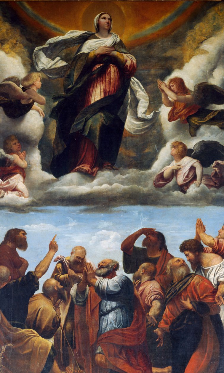 Antagelse, altertavle (olje på tre av Alessandro Bonvicino Moretto