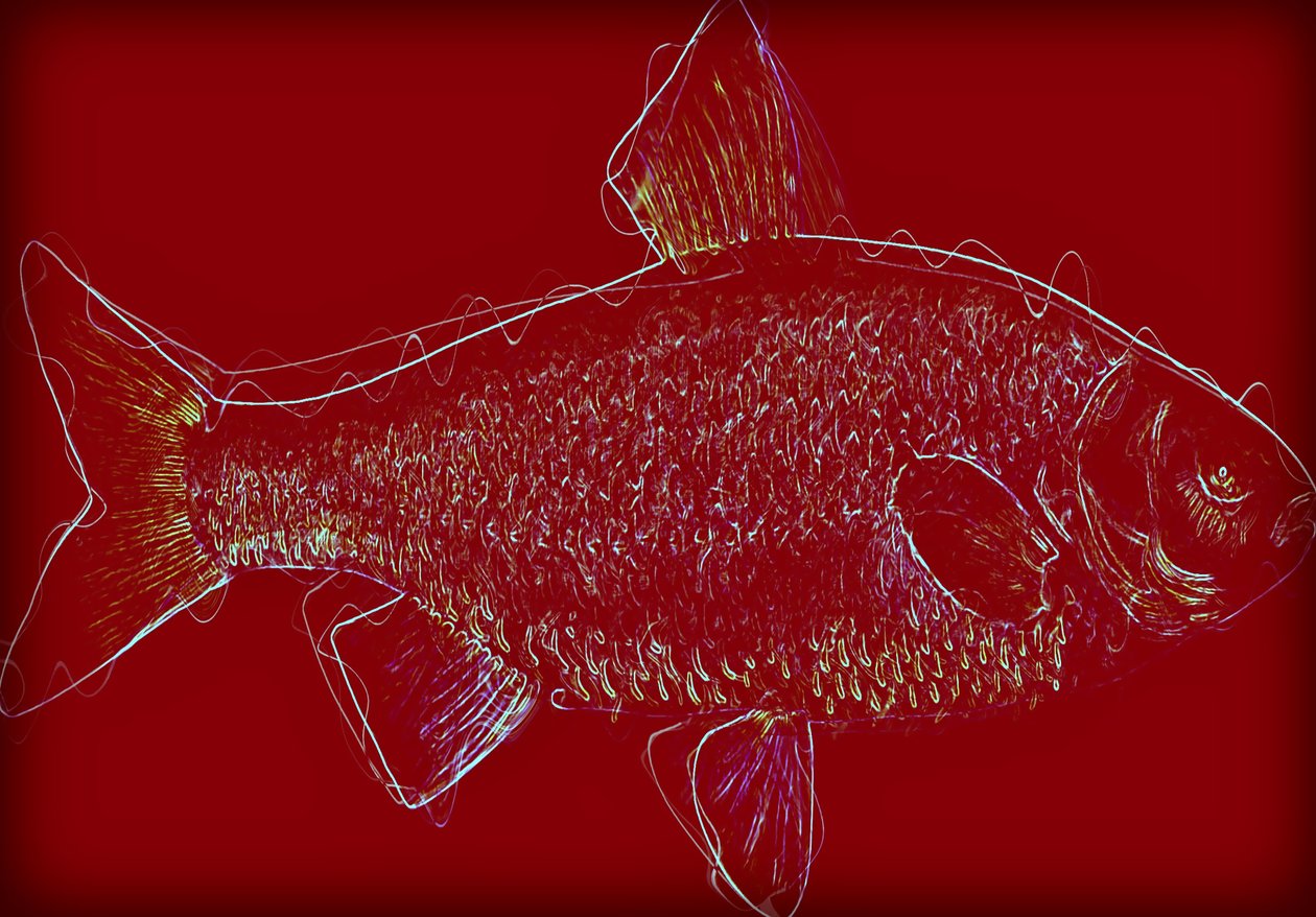 Fish V,2020 ,(blandet media) av Alex Caminker