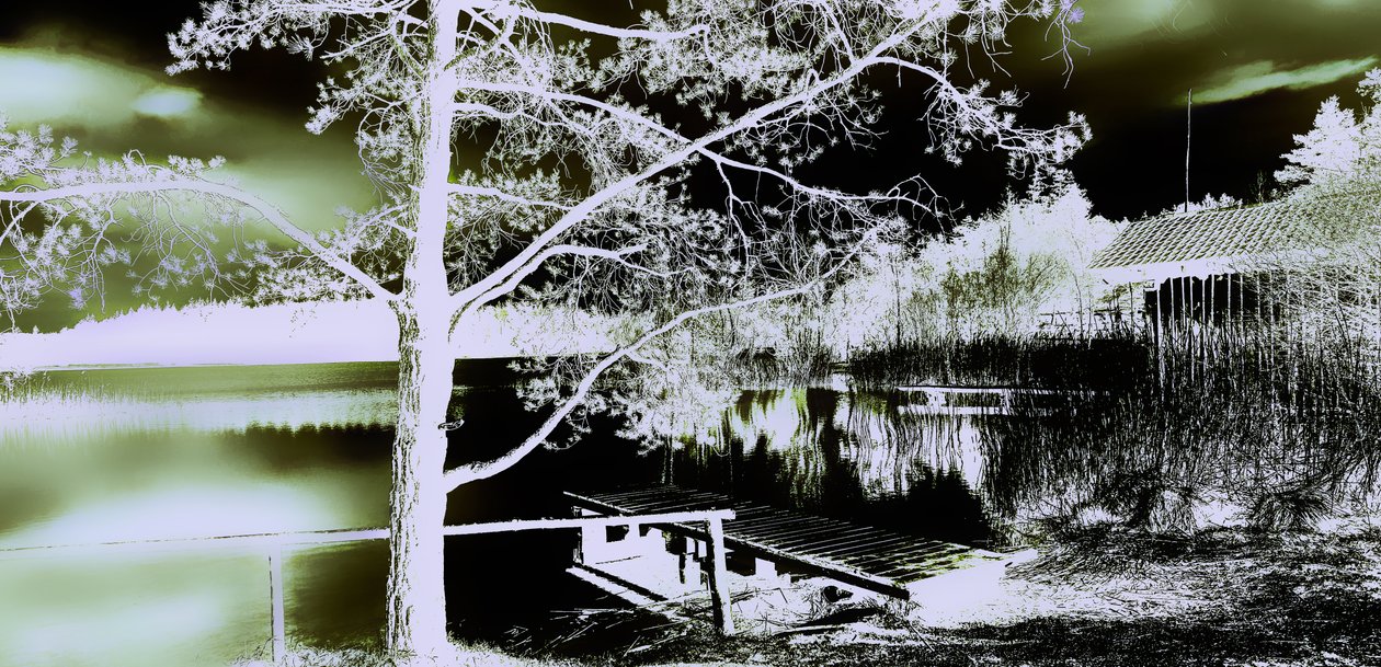 Secret Garden, 2019, (fotografi) av Alex Caminker