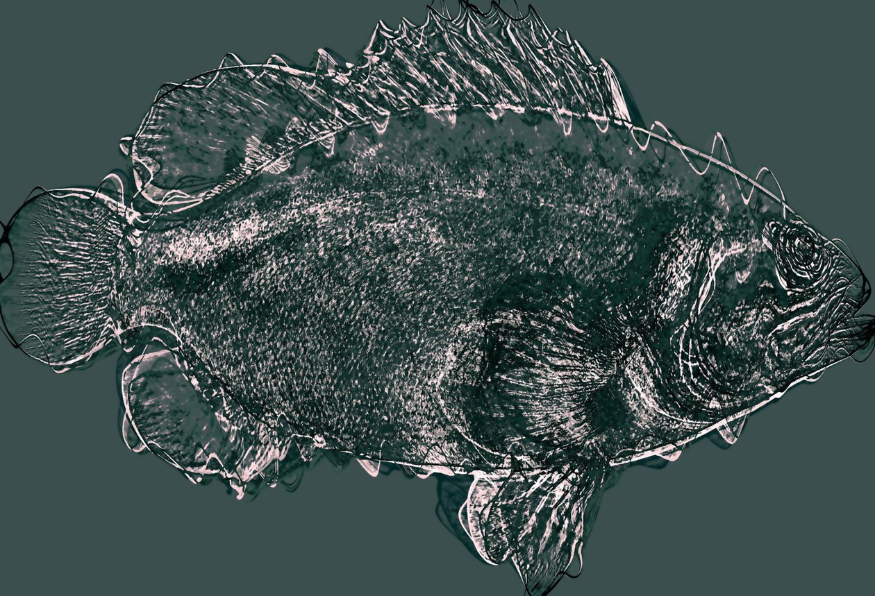 fisk i grønt,2020,(mixed media) av Alex Caminker