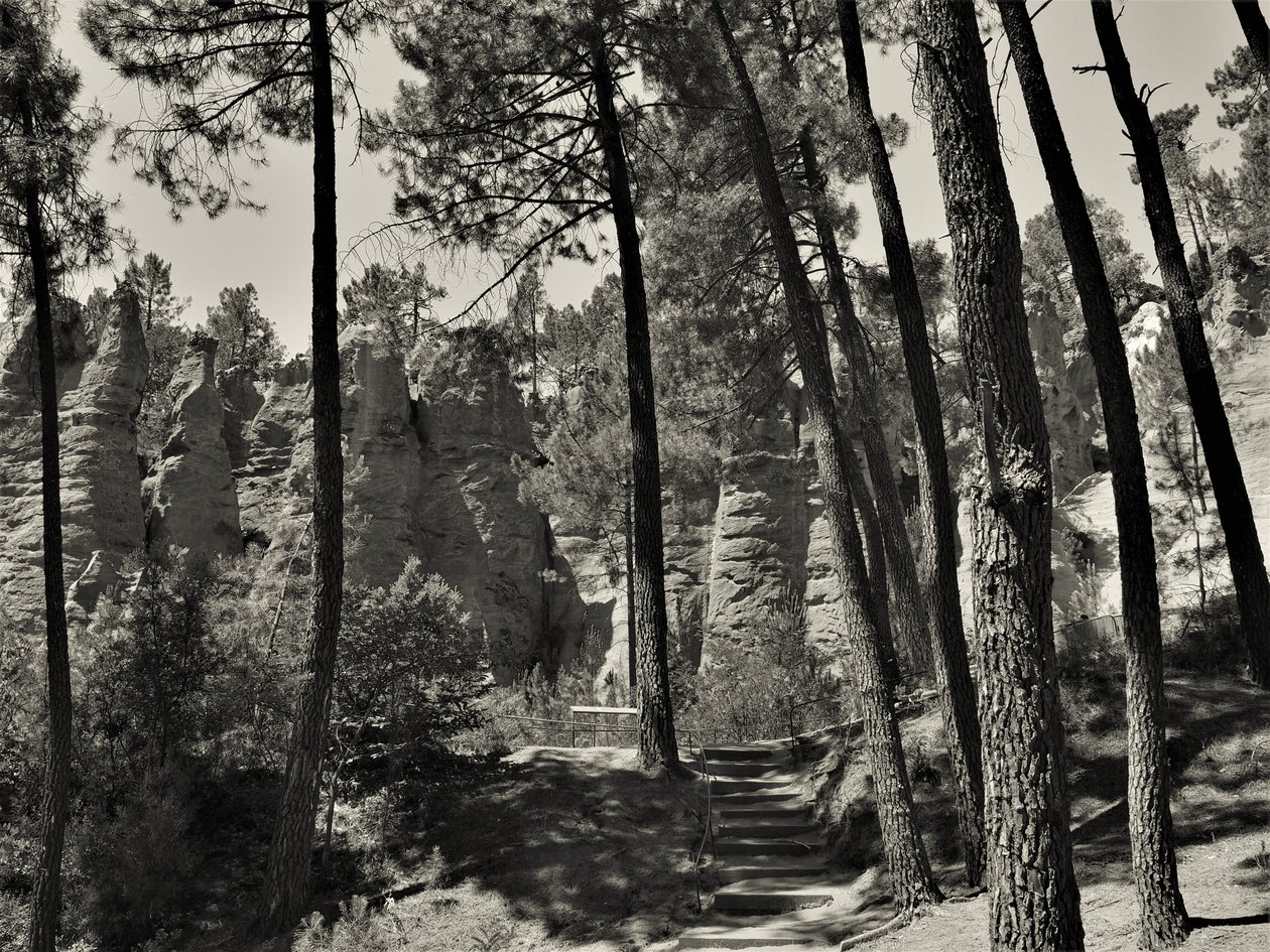 inne i universet, 2019, (fotografi) av Alex Caminker