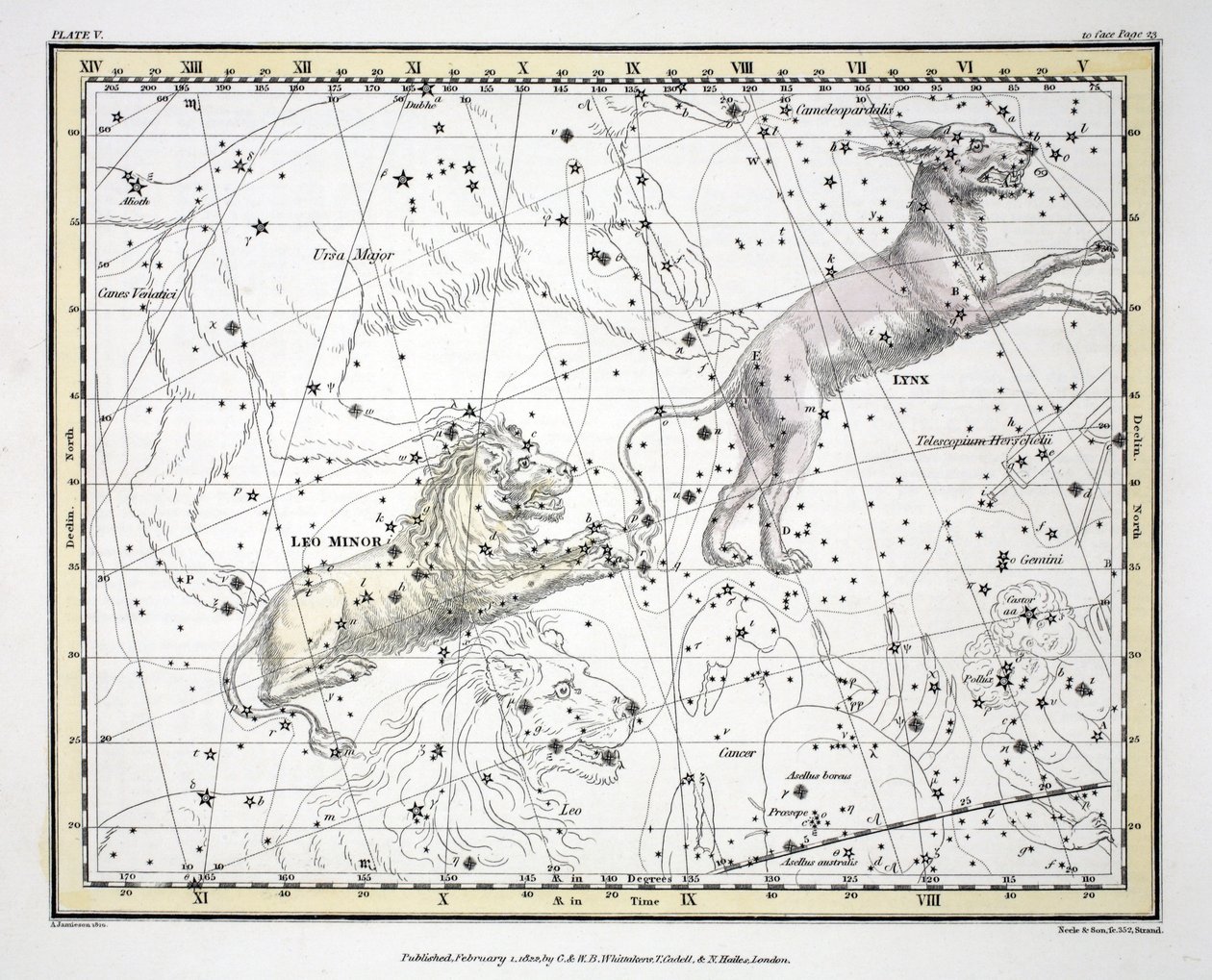 The Constellations (Plate V) Lynx, Leo Minor, fra 