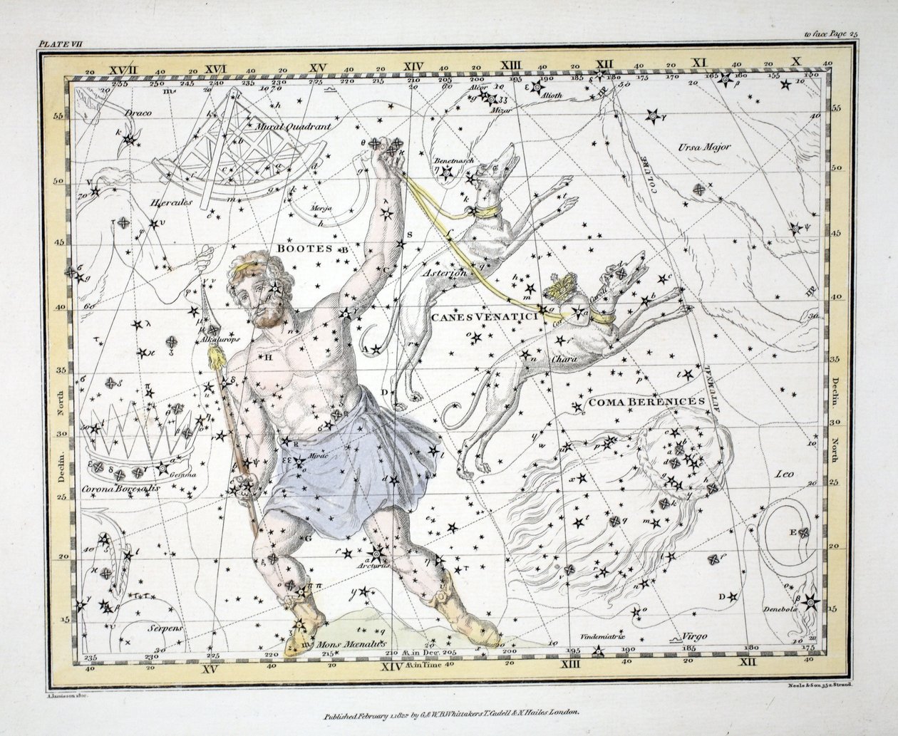 The Constellations (Plate VII) Bootes og Mons Maenalus, Asterion og Chara eller Canes Venatici, Coma Berenices, , fra 'A Celestial Atlas' av Alexander Jamieson, pub. London 1822 (håndfarget gravering av Alexander Jamieson