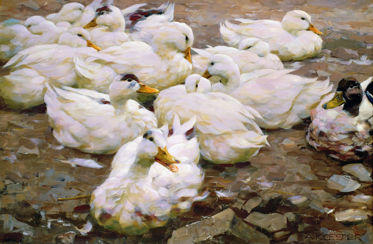 Ender på en dam av Alexander Koester