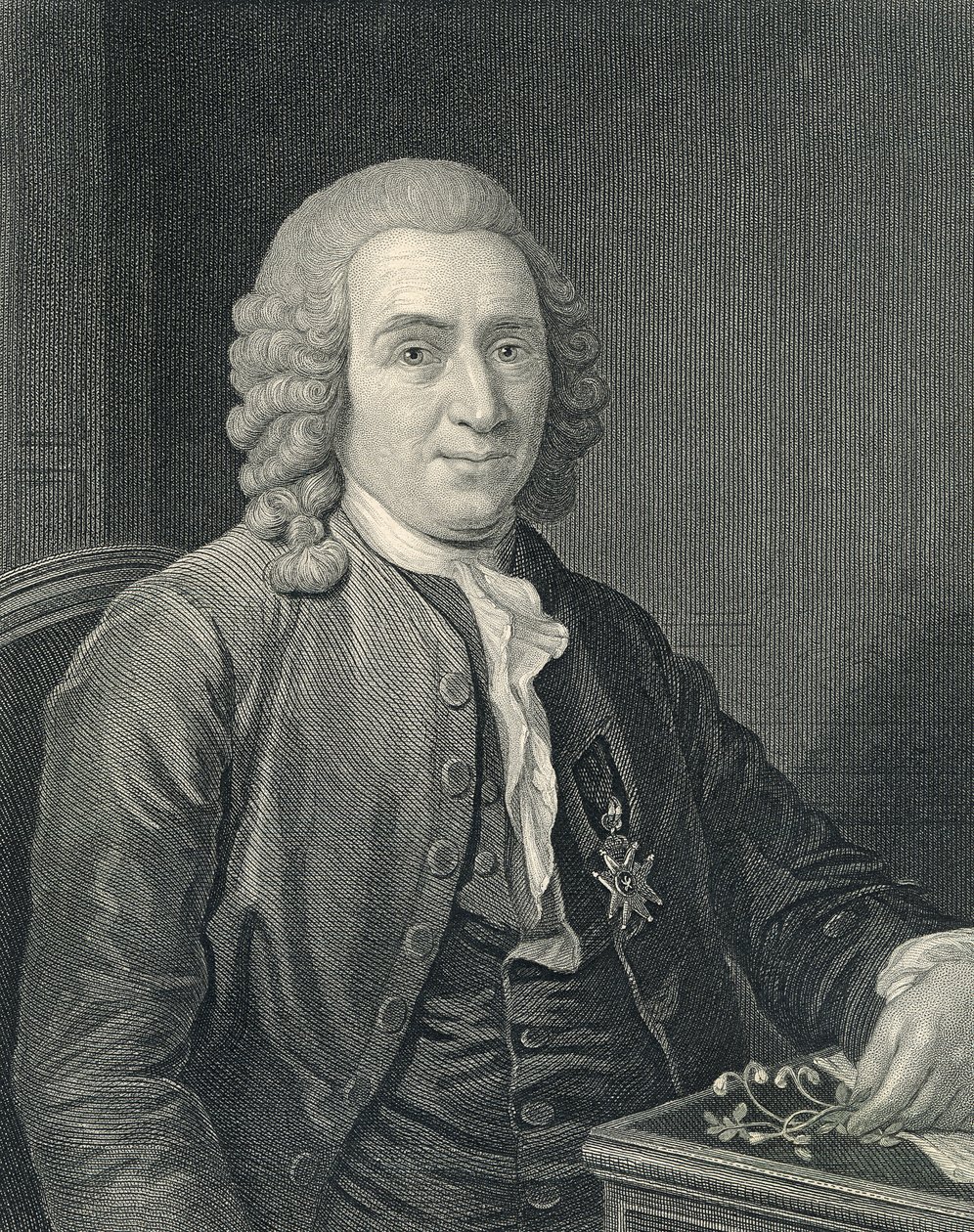 Portrett av Carolus Linnaeus av Alexander (after) Roslin