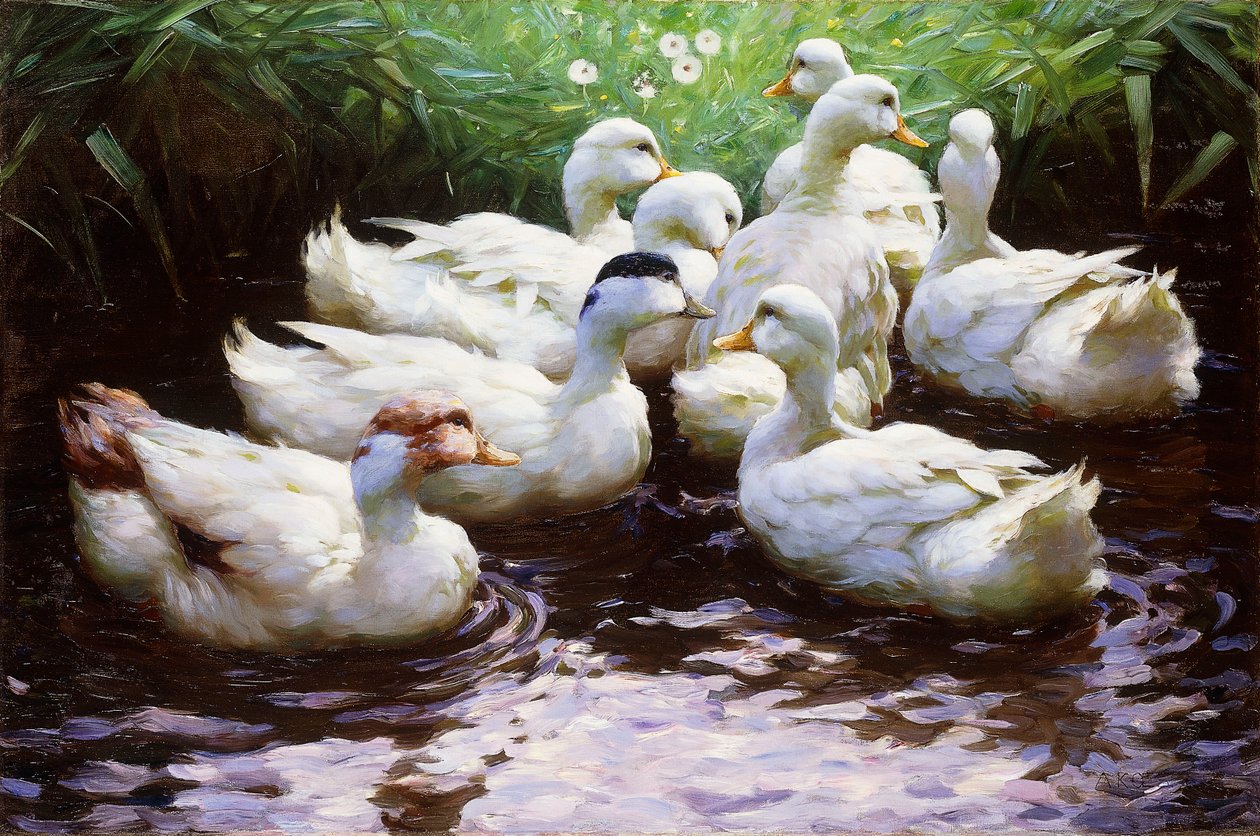 I land (ender) av Alexander Koester