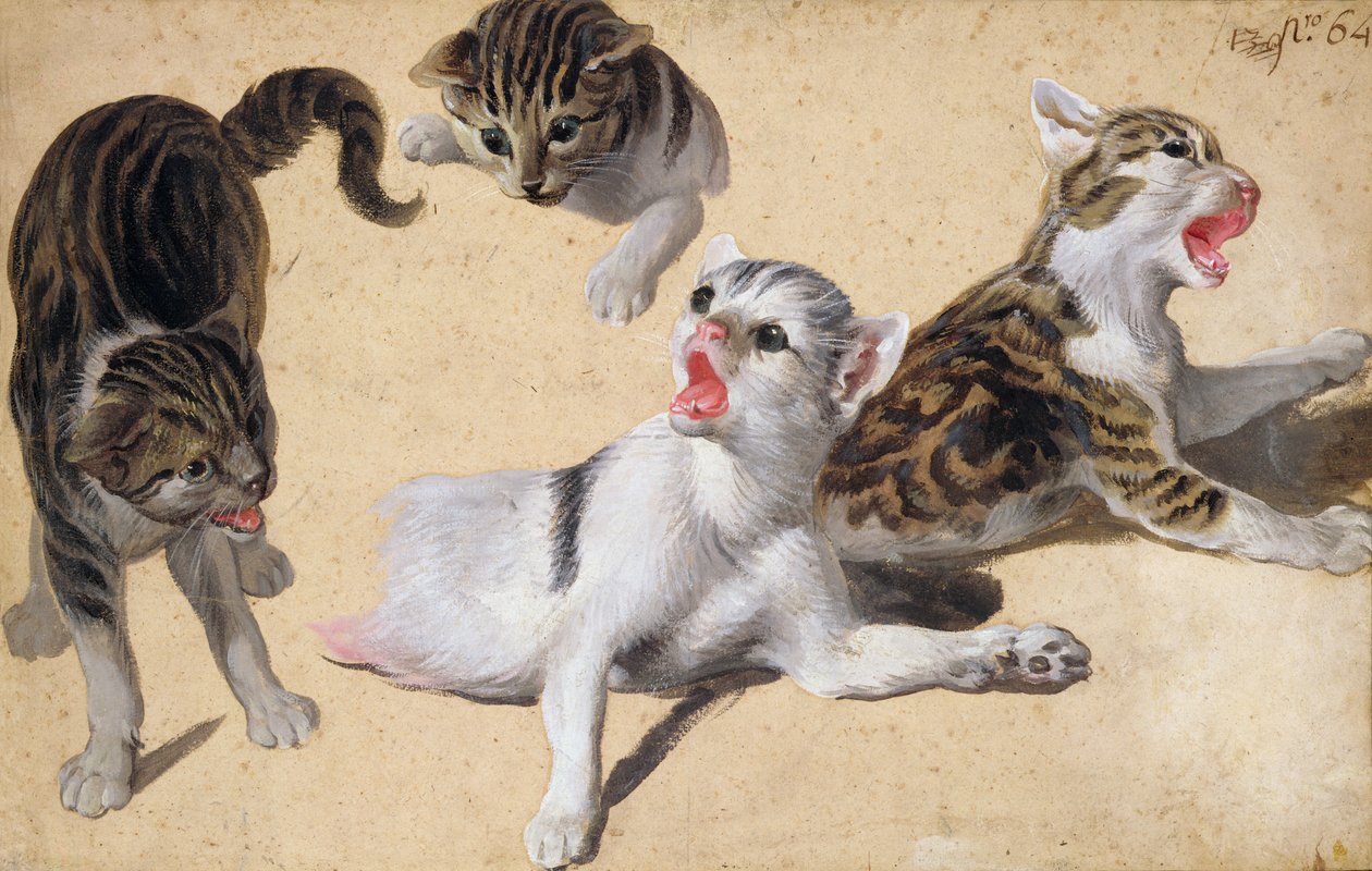 Fire studier av kattunger (olje på lysebrunt papir) av Alexandre Francois Desportes