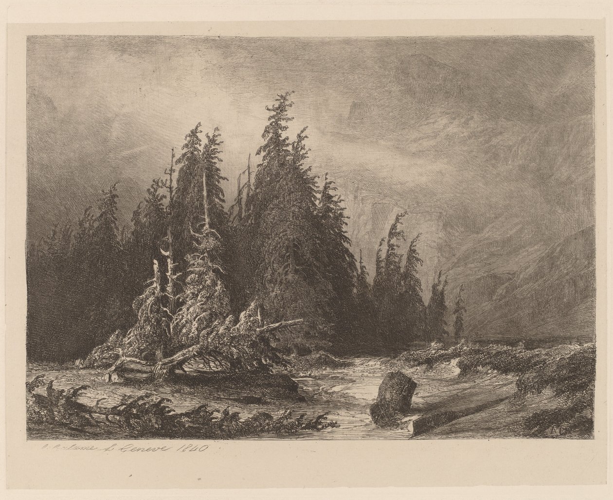Mountain Pines av Alexandre Calame