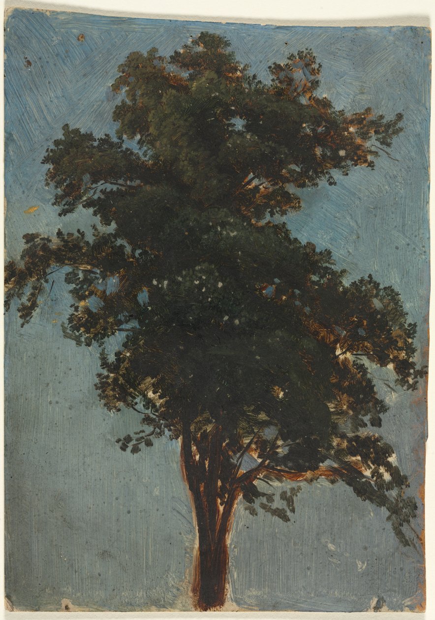  av Alexandre Calame