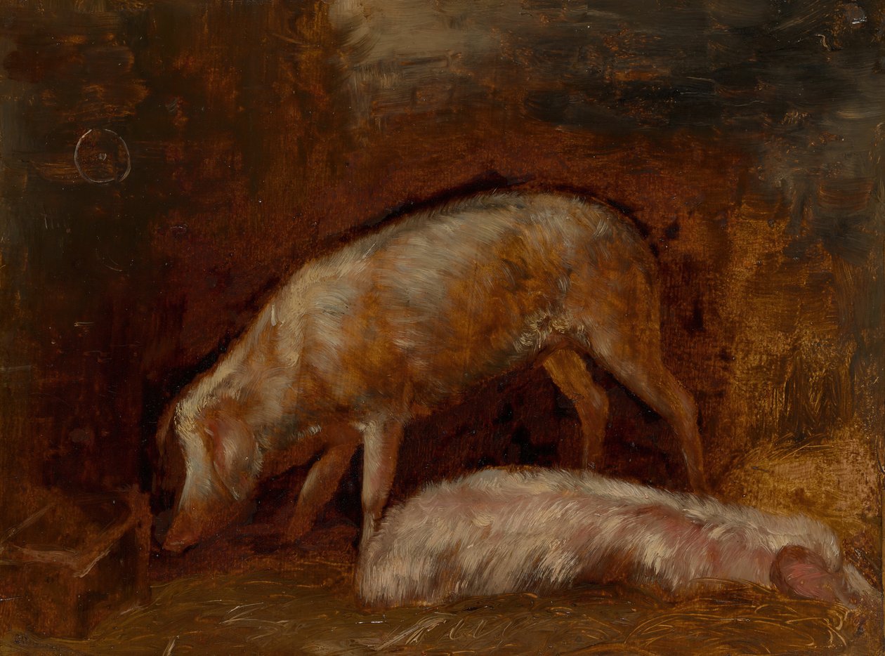 Study of Pigs, 185060. av Alexandre Gabriel Decamps