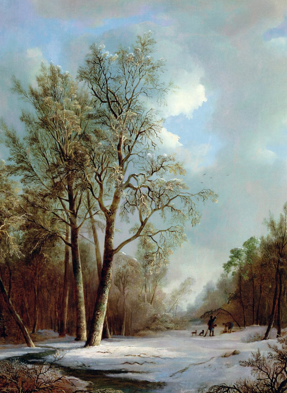 Snøscene av Alexis de Leeuw