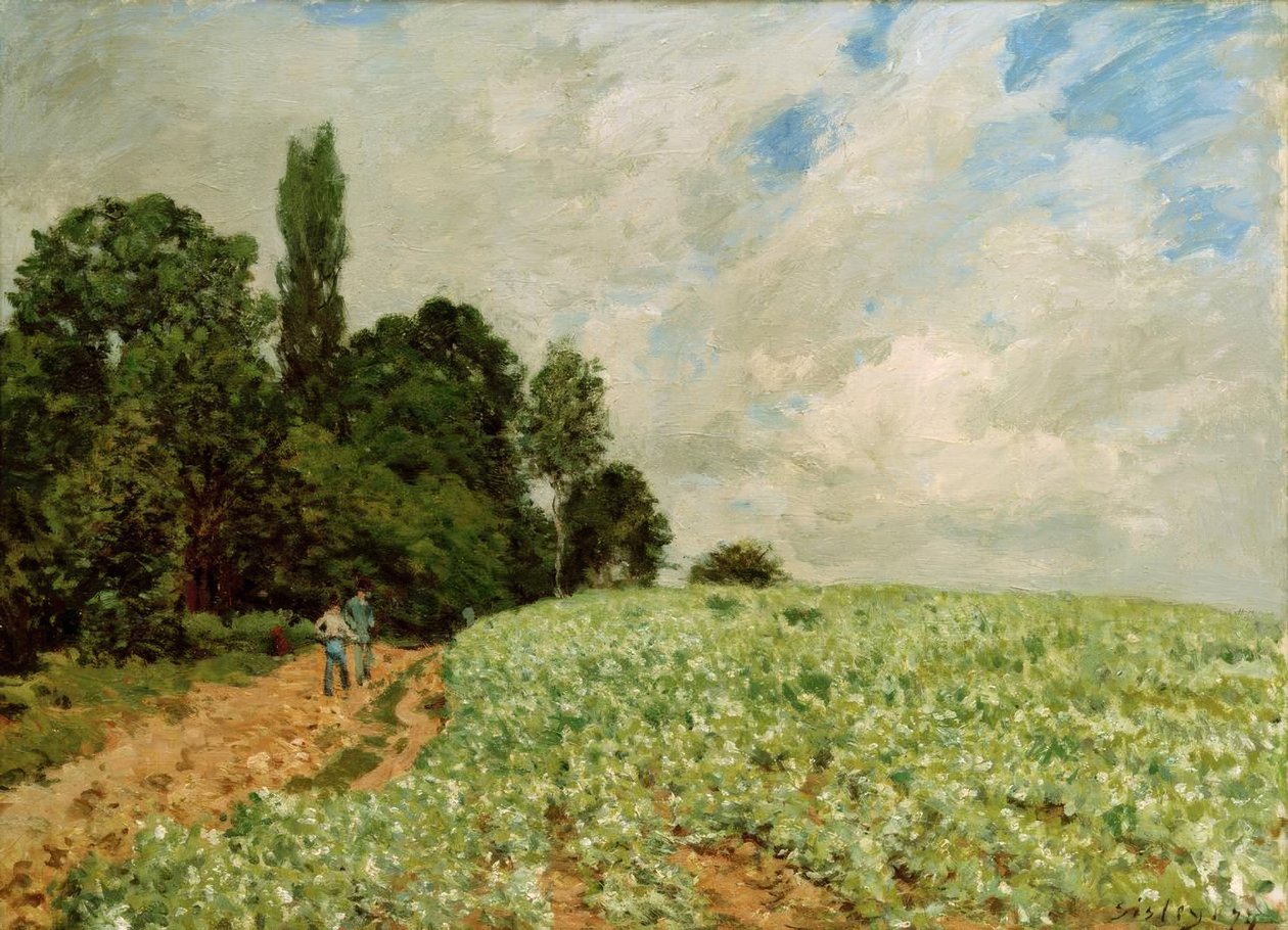 Kløverfeltet av Alfred Sisley