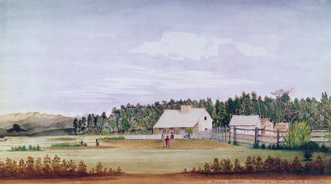 Mania Station, Wairarapa, New Zealand av Alfred Chapman