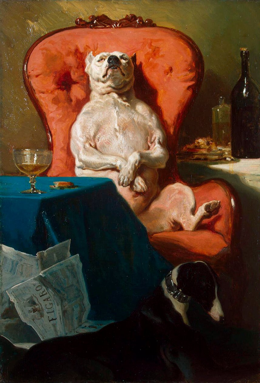 Pug Dog in an Armchair
