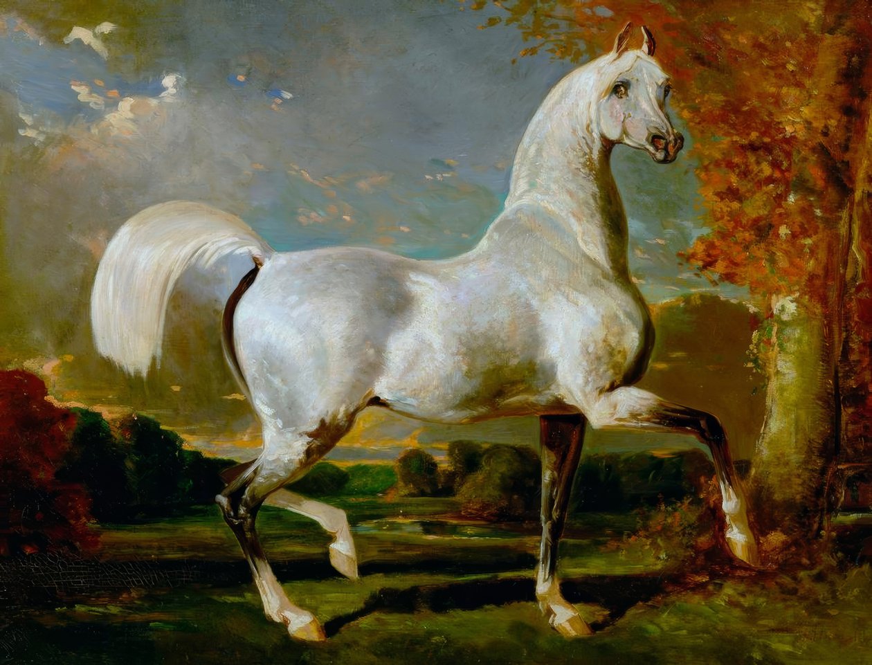 Arabisk hingst av Alfred Dedreux