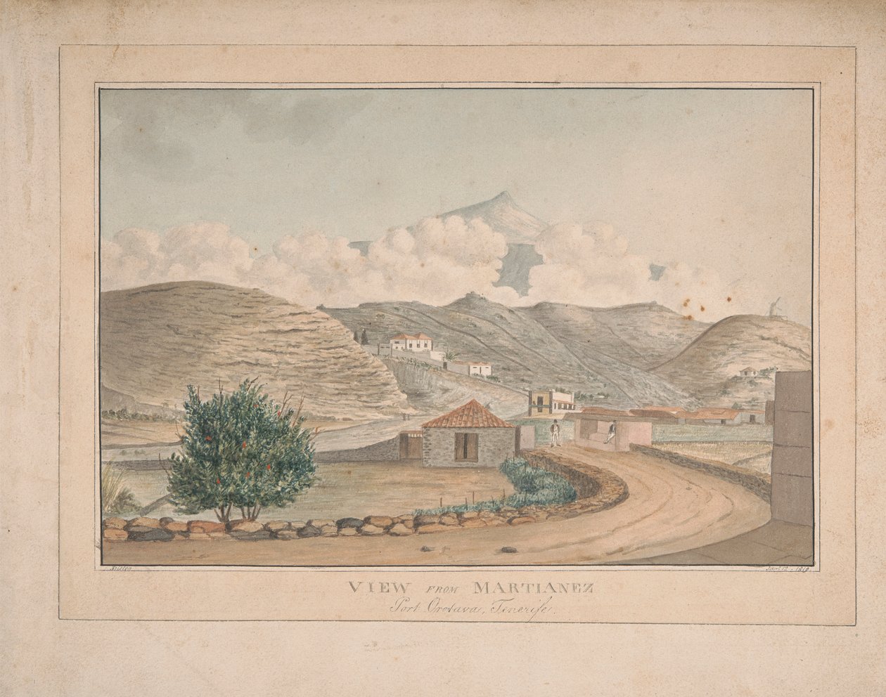 Utsikt fra Martianez, Port Orotava, Tenerife av Alfred Diston