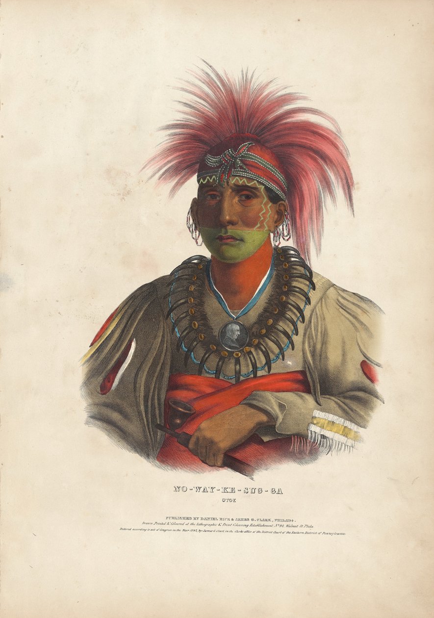 Ingen sum y - tilfelle g - er Otoe av Alfred Hoffy, after Charles Bird King