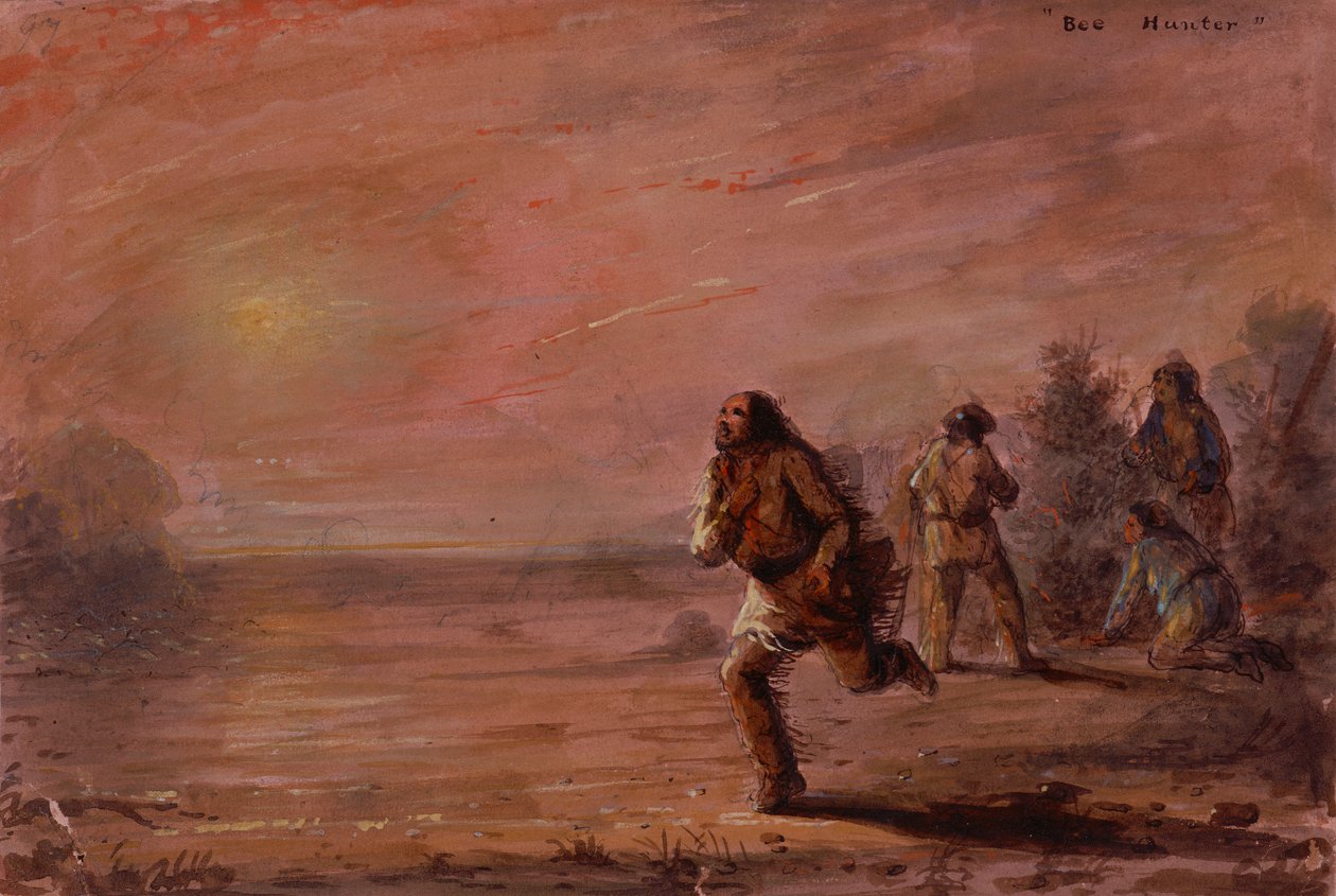 Bee Hunters, ca. 1837 (olje på papir) av Alfred Jacob Miller