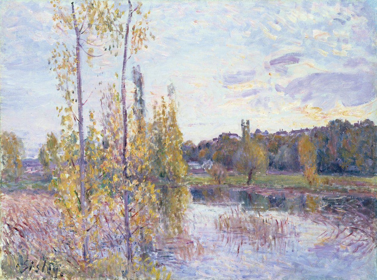 Ukjent bilde av Alfred Sisley