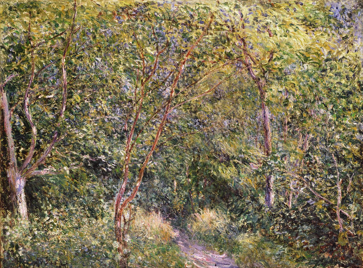 Ukjent bilde av Alfred Sisley