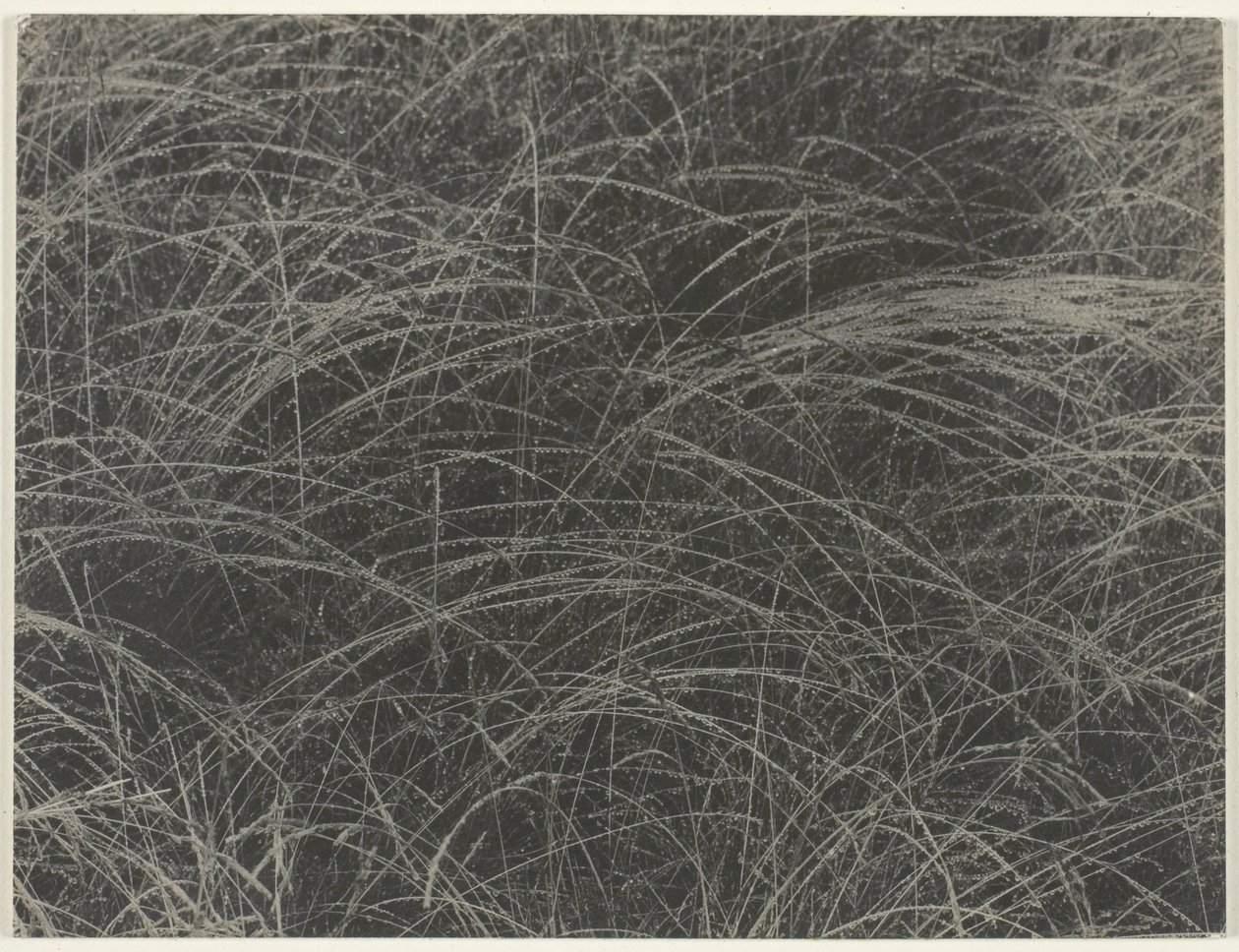 Tilsvarende av Alfred Stieglitz
