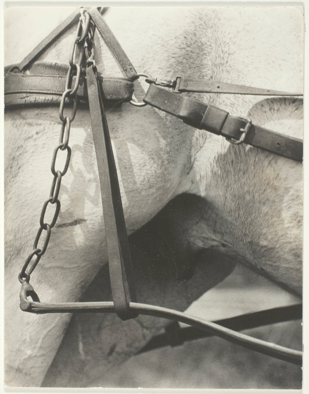 Tilsvarende, Spiritual America av Alfred Stieglitz