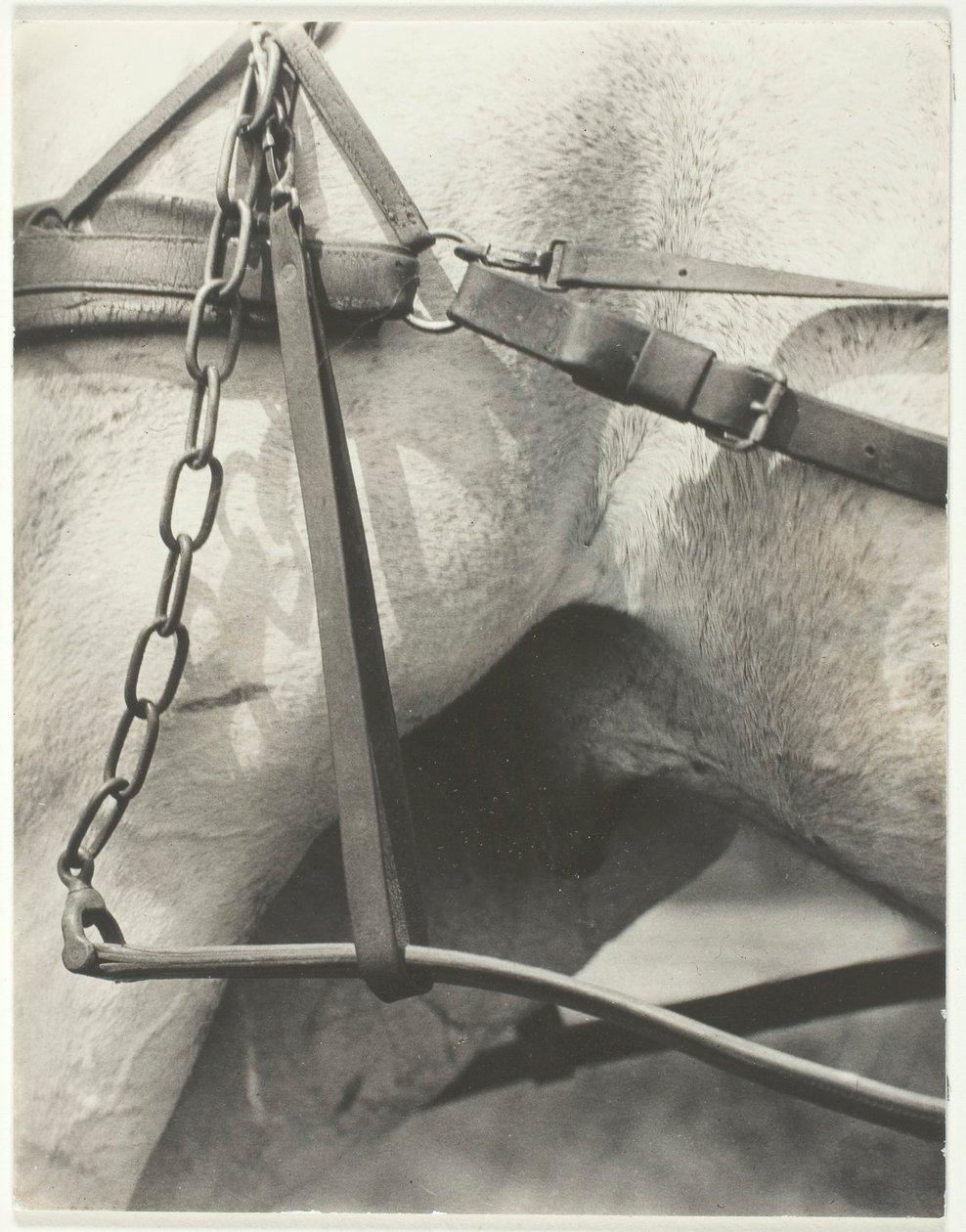 Equivalent, Spiritual America, 1923. av Alfred Stieglitz