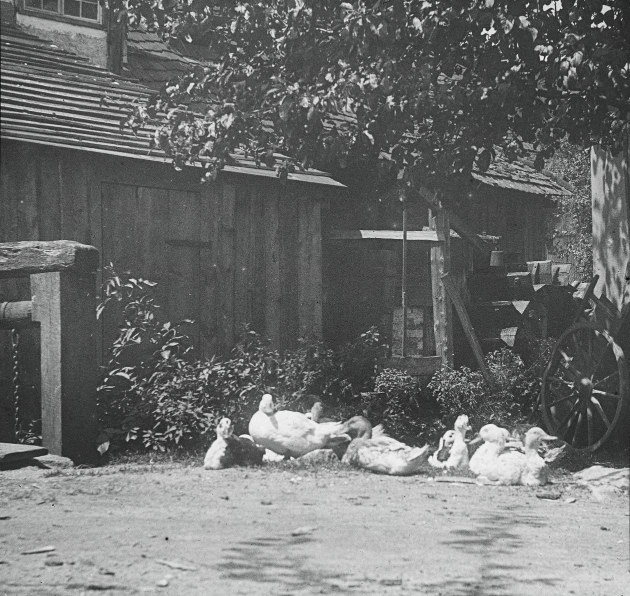 Gutach, 1894. av Alfred Stieglitz