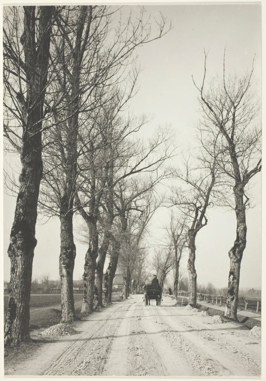Novemberdagene, 1887, trykt 192039. av Alfred Stieglitz