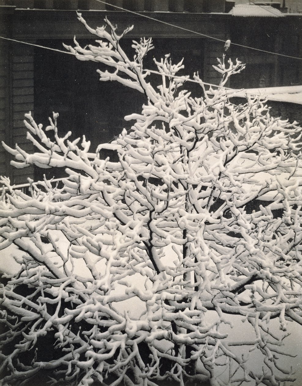 Ut av vinduet - 291 - N.Y. av Alfred Stieglitz