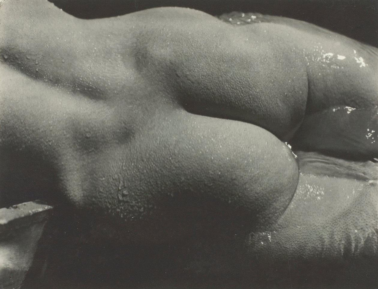Rebecca Salsbury Strand, 1922. av Alfred Stieglitz