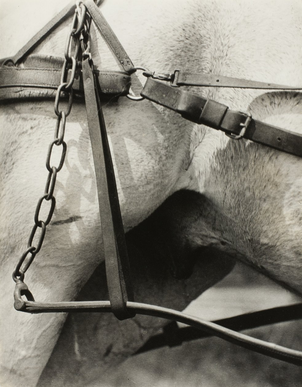 Spiritual America: Songs of the Sky A1 av Alfred Stieglitz
