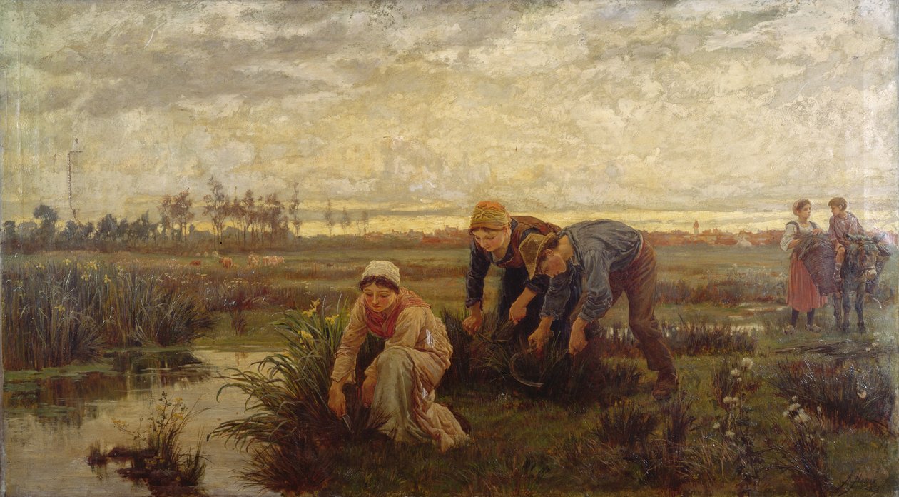 Rush Cutters av Alice Havers