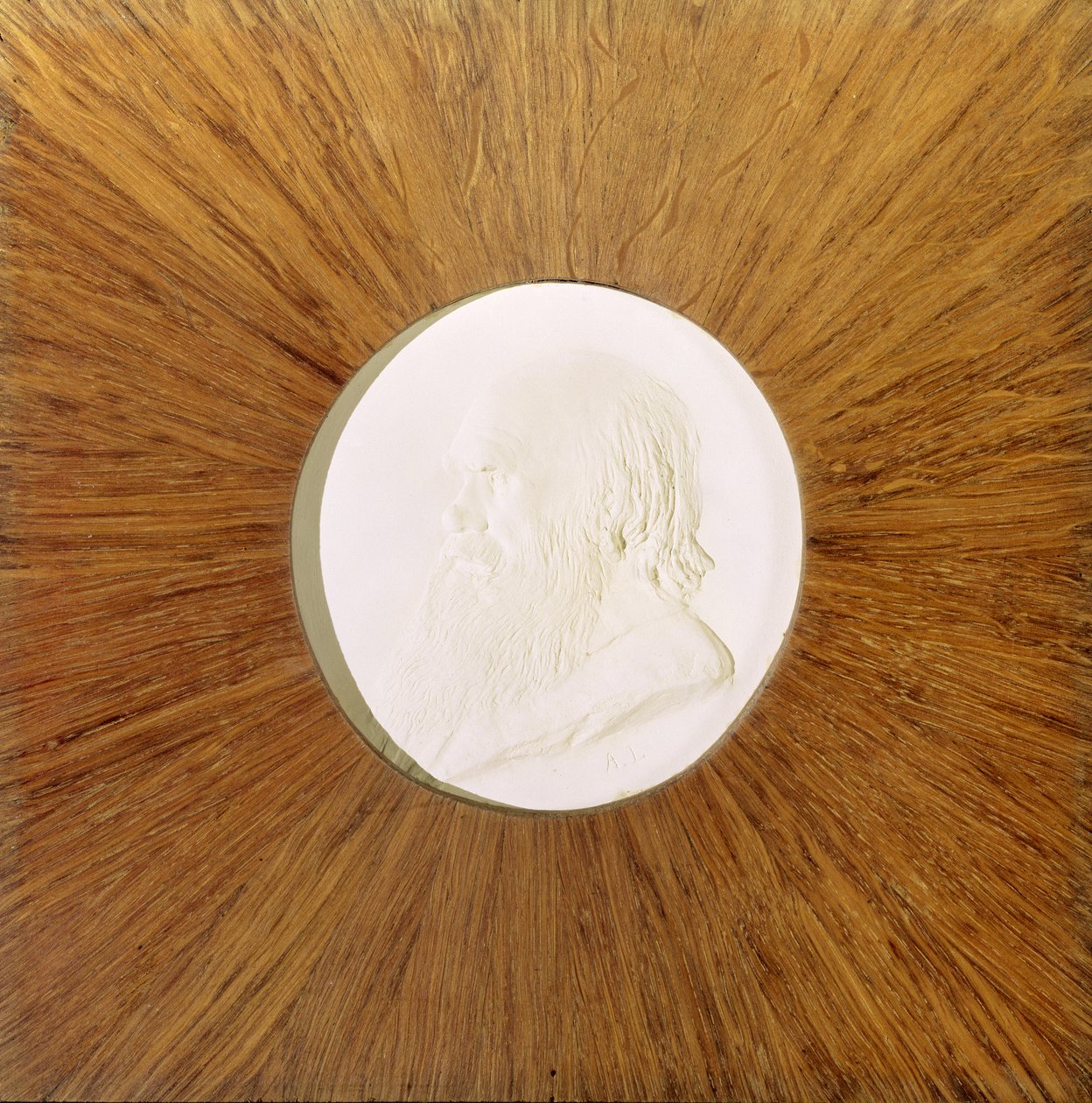 Charles Darwin (1809–82) ca. 1881 (basrelieff i gips) av Alphonse Legros