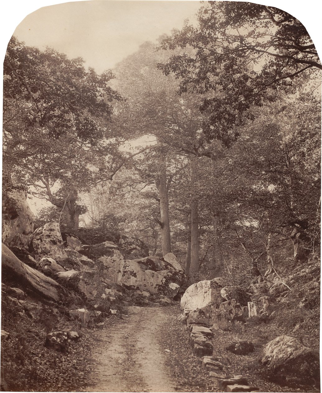 Fontainebleau av Alphonse Jeanrenaud