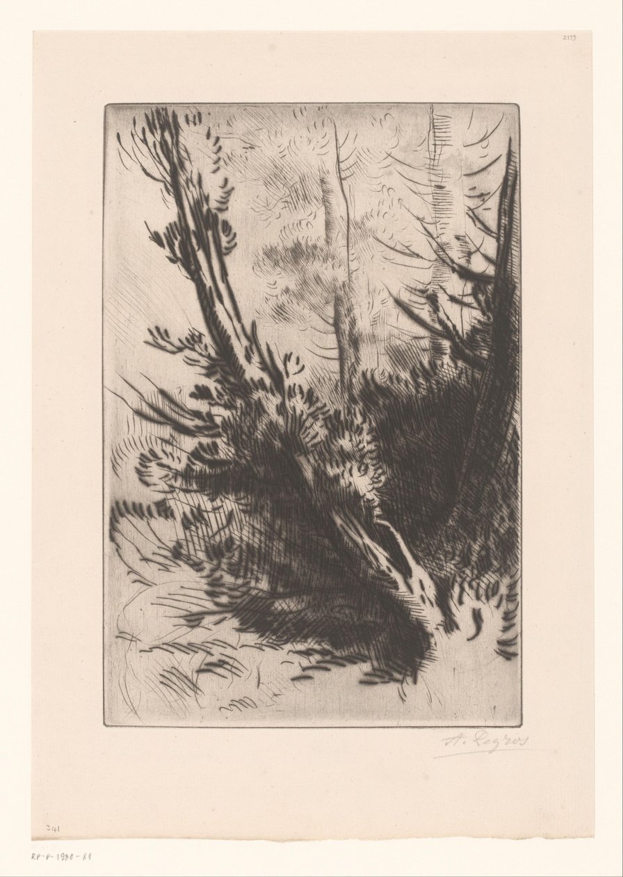 Trær av Alphonse Legros (signed by artist)