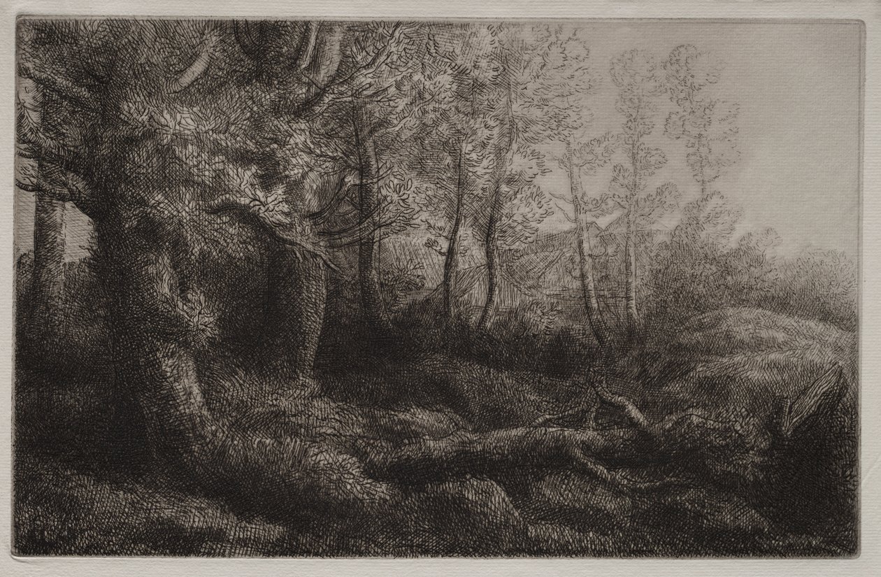 En skogstudie av Alphonse Legros