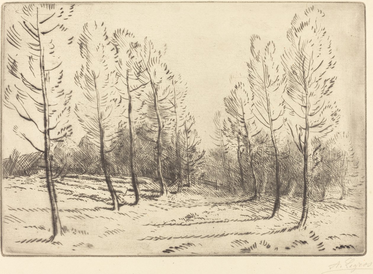Avenue of Poplars Alley of Poplars. av Alphonse Legros