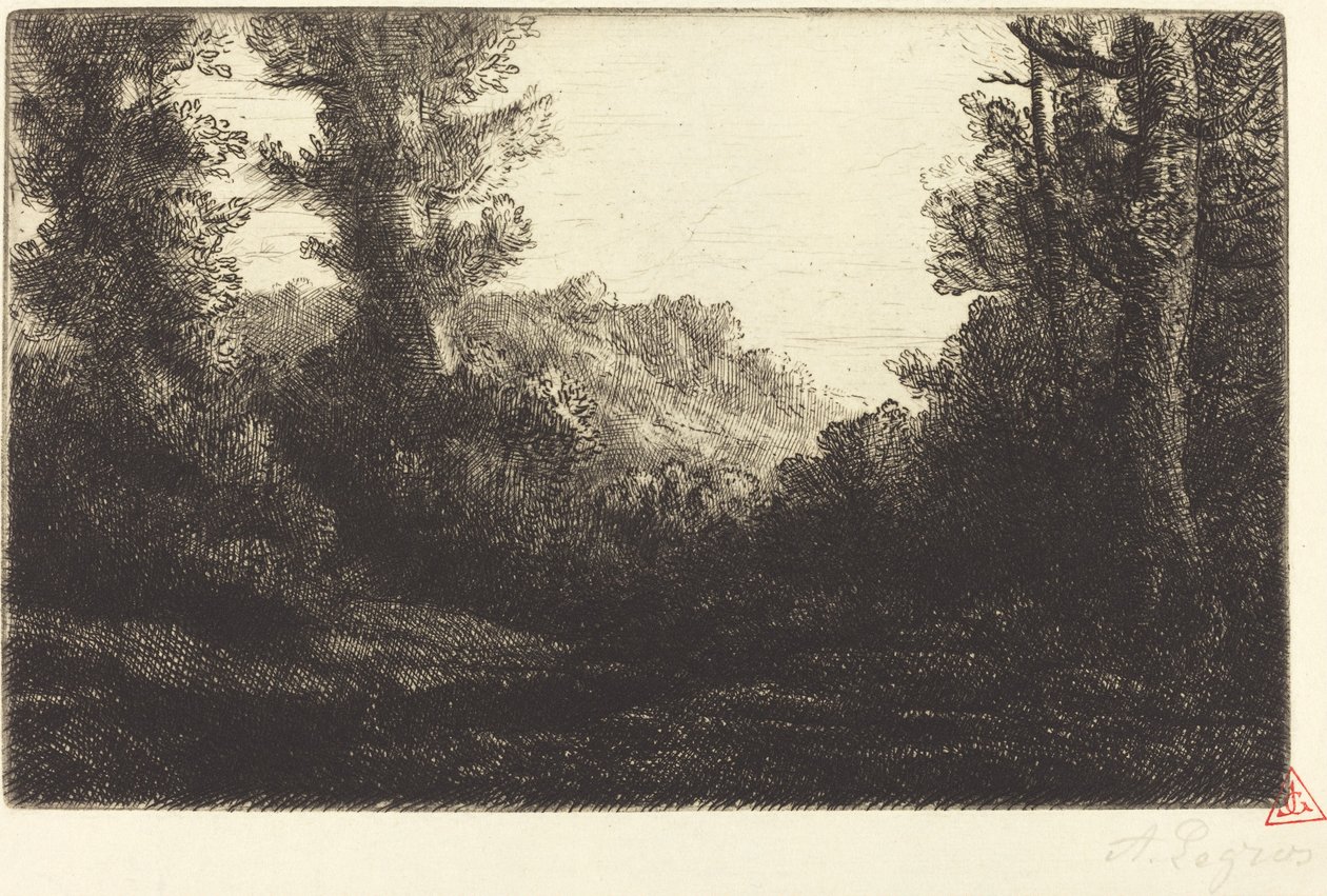 Edge of a Wood Lisiere de bois. av Alphonse Legros