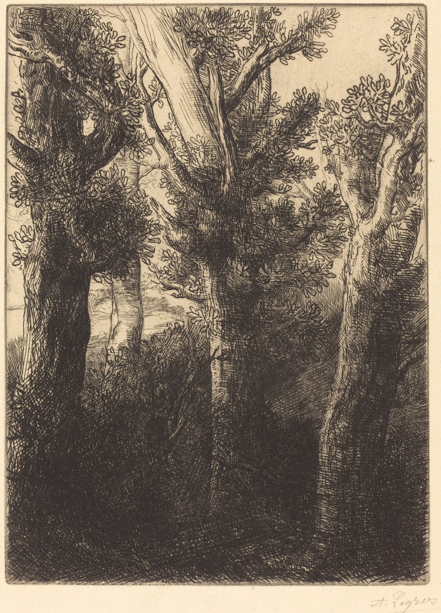 German Forest, Downley. av Alphonse Legros