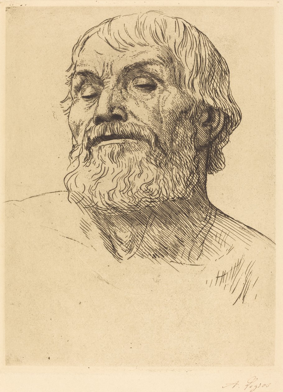 Head of a Man Tete d