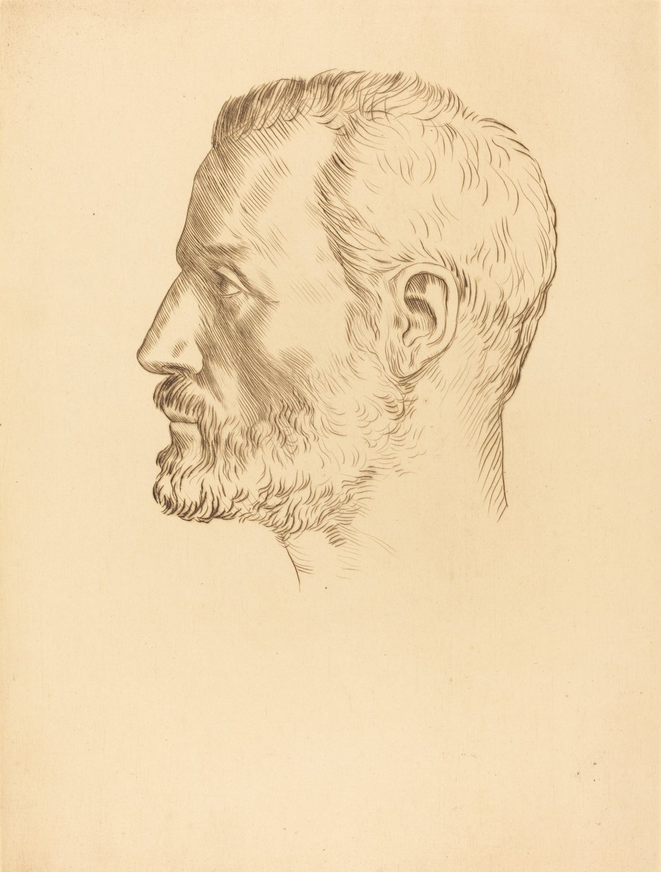 Head of a Man Tete d