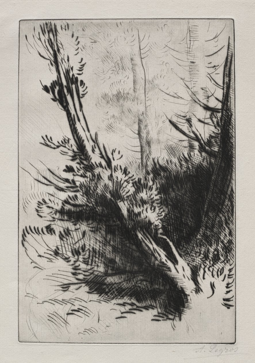 In the Woods   1264765   no       norwegian Successfully Translated  Original: An Italian Villa, early 19th century Translat: An Italian Villa, early 19th century 1151860 no norwegian Successfully Translated Original: Harbour, Swansea, Wales Translat: Harb av Alphonse Legros