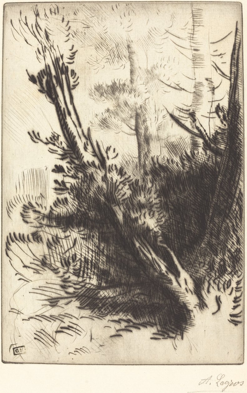 I skogen i skogen. av Alphonse Legros