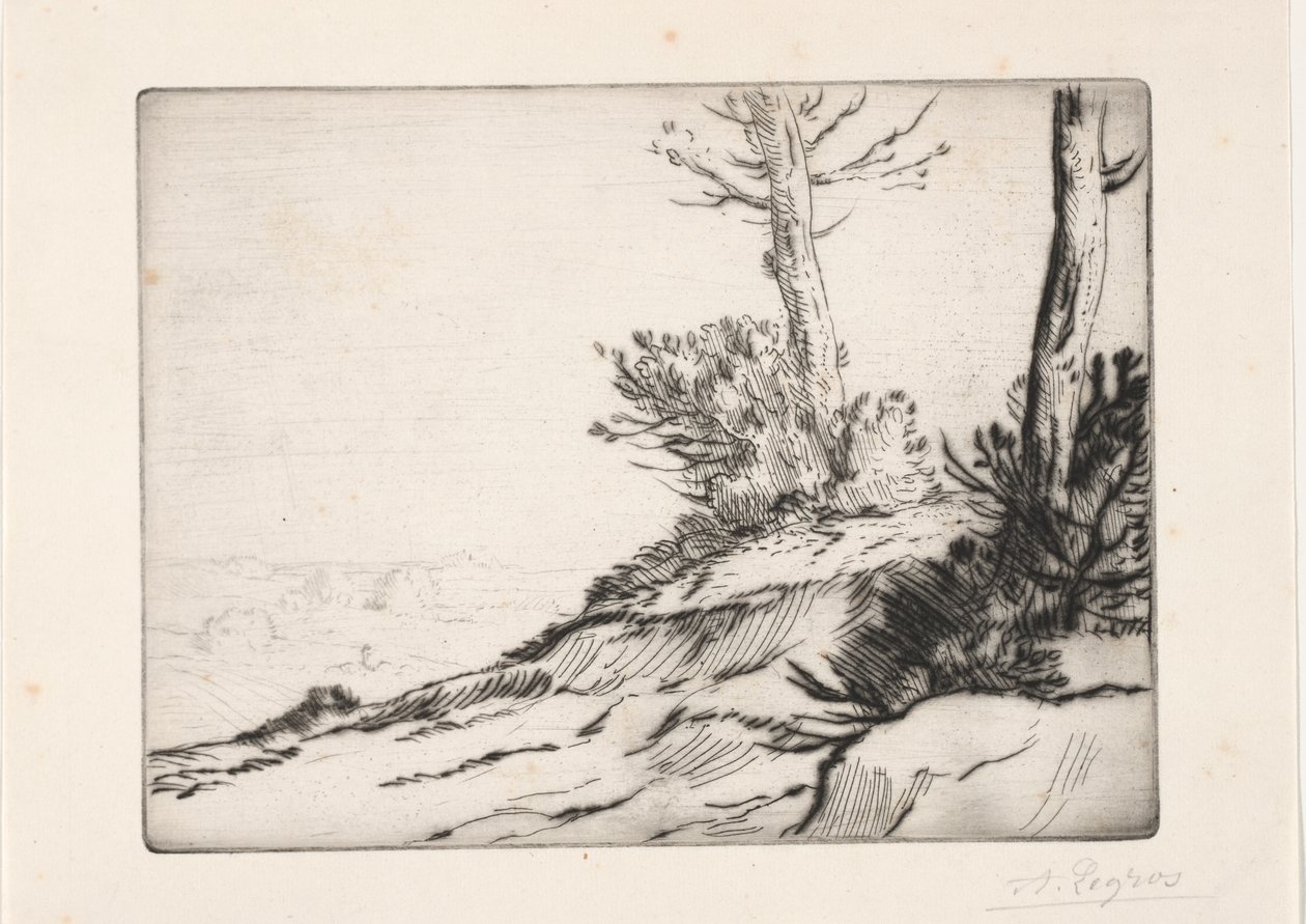 Børstehaugen av Alphonse Legros