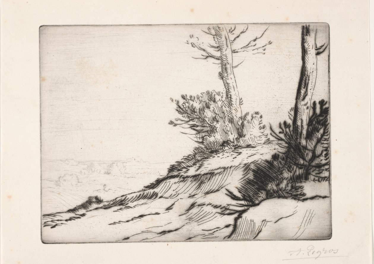 Børstehaugen. av Alphonse Legros