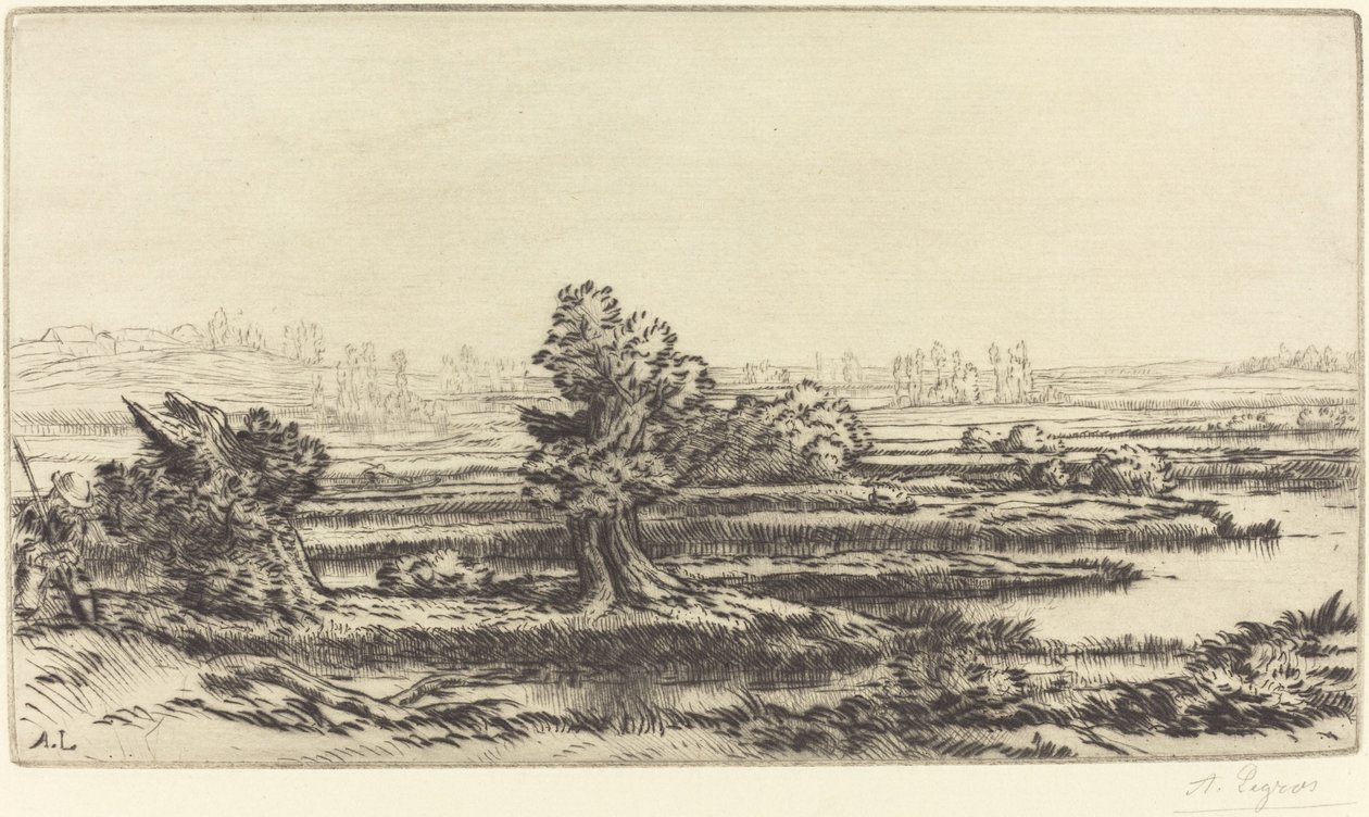 Torvmyrer (Les Tourbieres) av Alphonse Legros